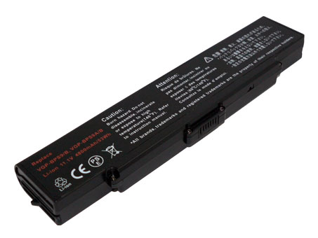 Remplacement Batterie PC PortablePour SONY VGP BPS10