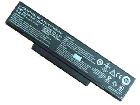 Remplacement Batterie PC PortablePour CLEVO MobiNote M660 Series